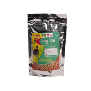 Sattu